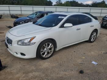  Salvage Nissan Maxima