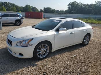  Salvage Nissan Maxima