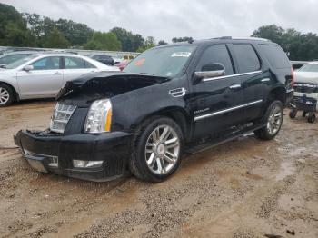  Salvage Cadillac Escalade