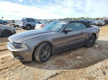  Salvage Ford Mustang