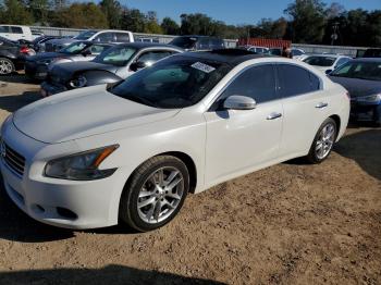  Salvage Nissan Maxima