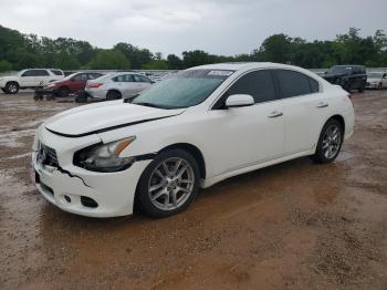  Salvage Nissan Maxima