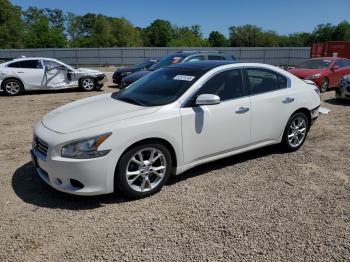  Salvage Nissan Maxima