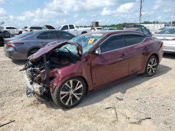  Salvage Nissan Maxima