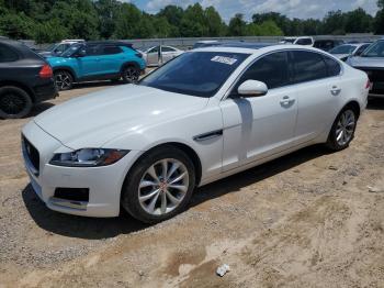  Salvage Jaguar XF