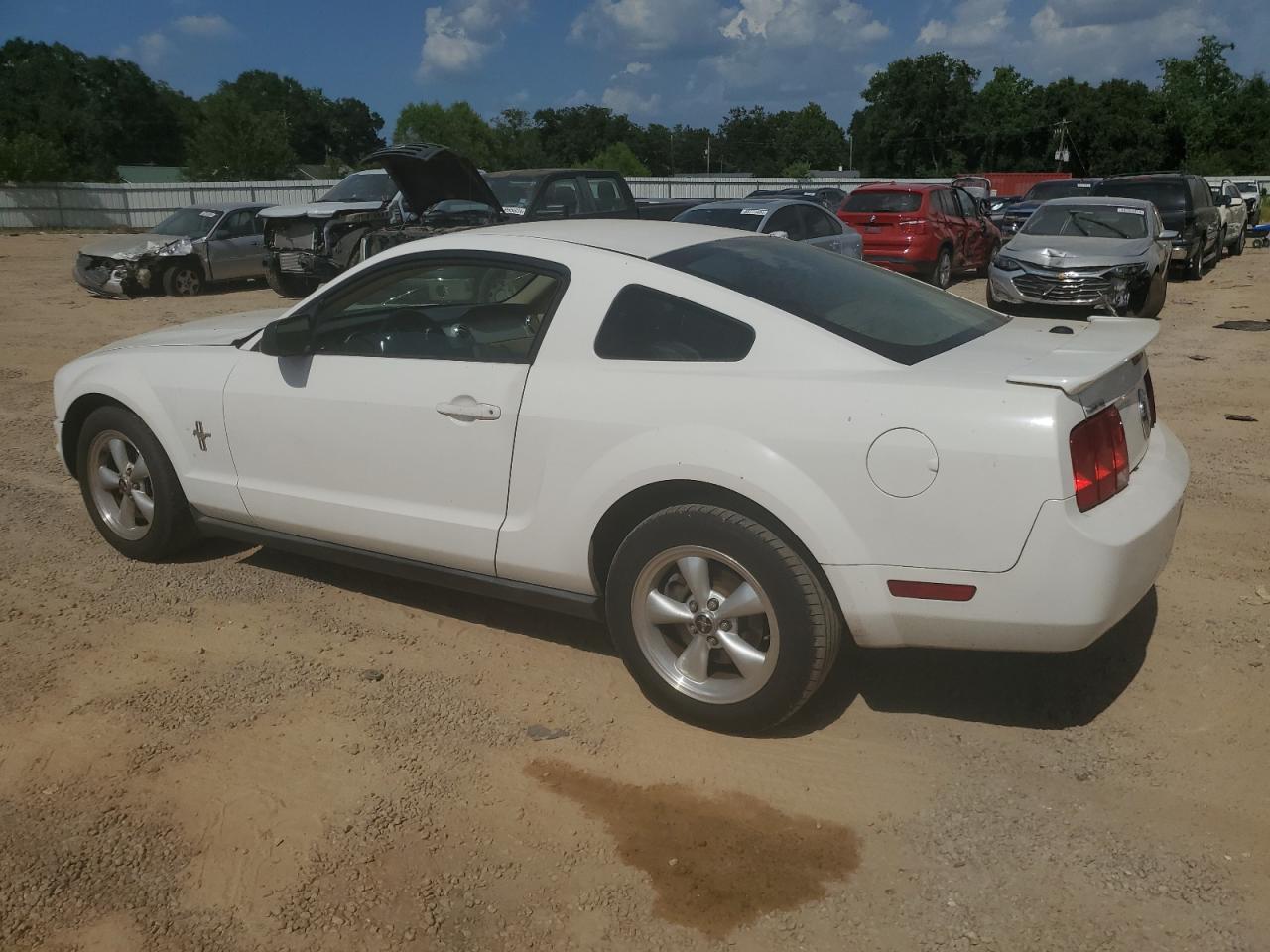 Ford Mustang Image 2