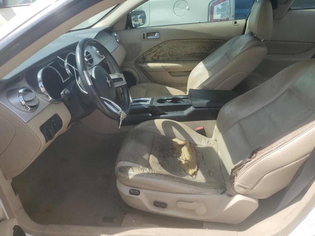 Ford Mustang Image 11