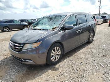  Salvage Honda Odyssey