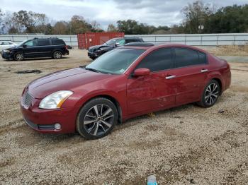  Salvage Nissan Maxima