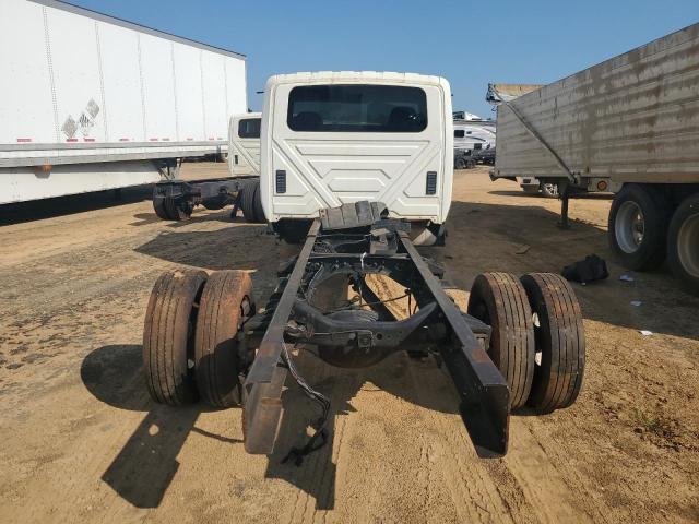 International Terrastar Image 7