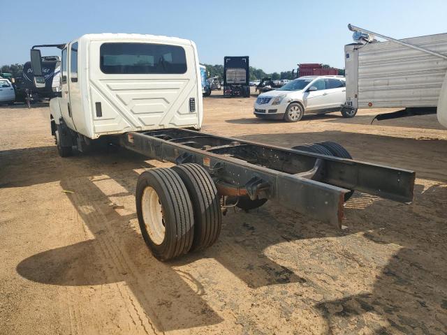 International Terrastar Image 4