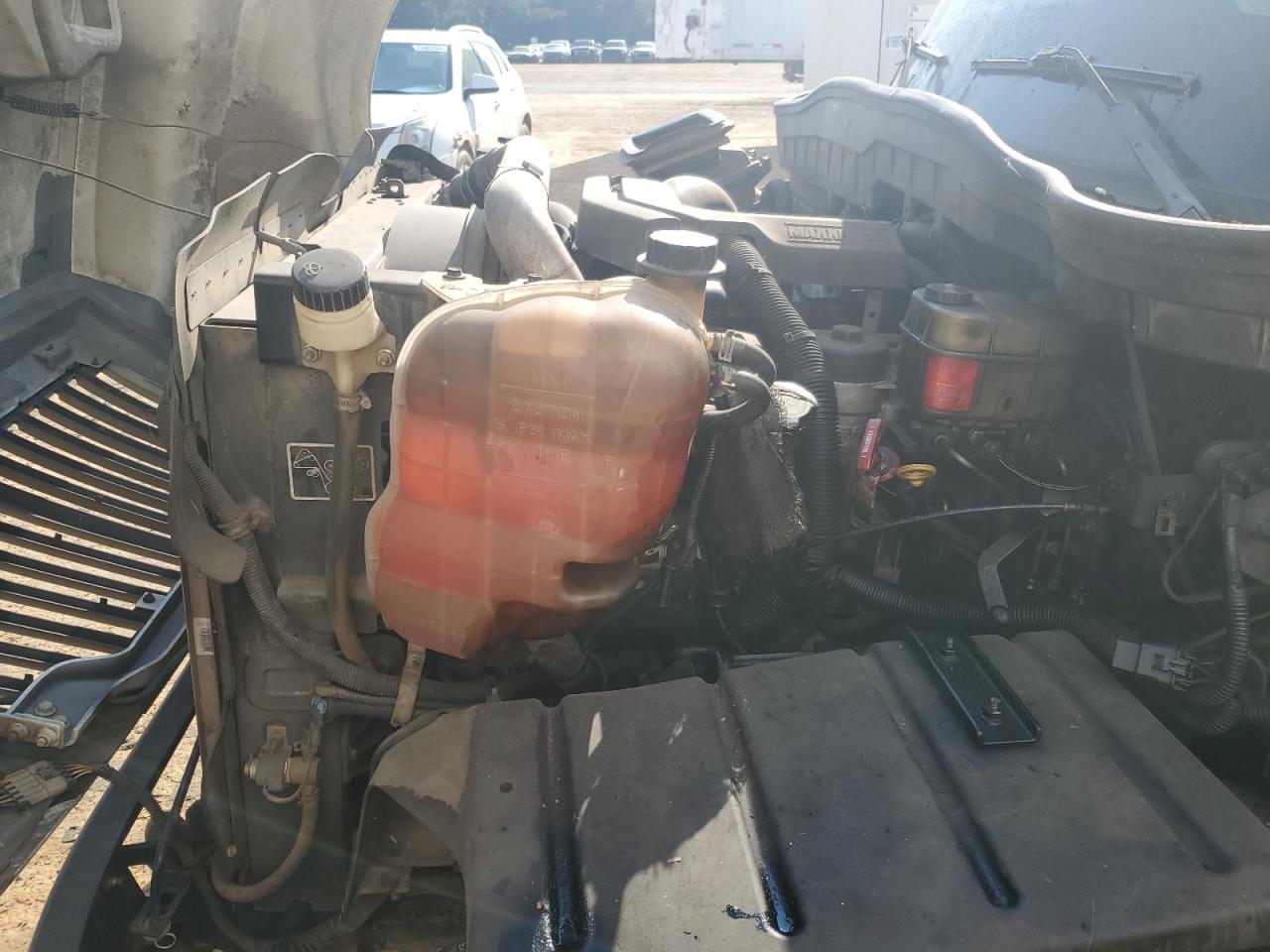 International Terrastar Image 12