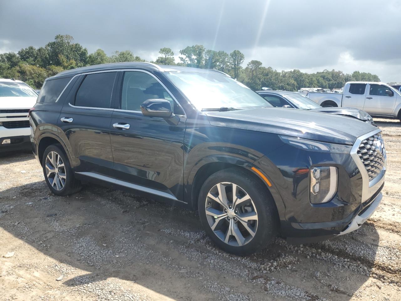 Hyundai PALISADE Limited Image 3