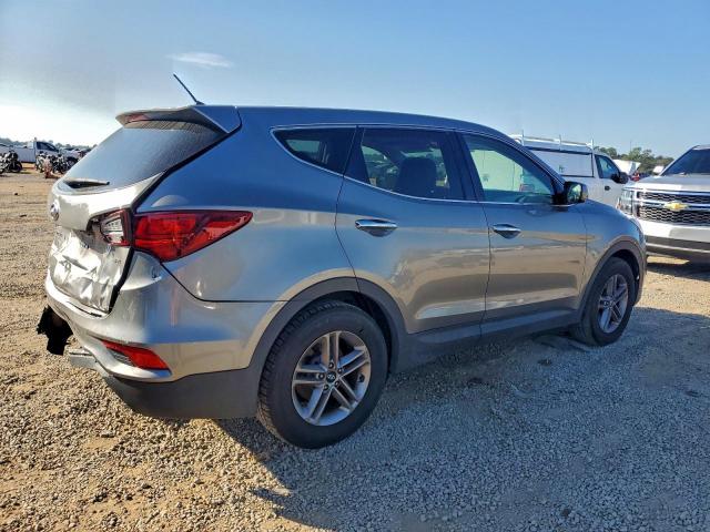 Hyundai SANTA FE Image 2