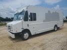 Ford F59 Image 1