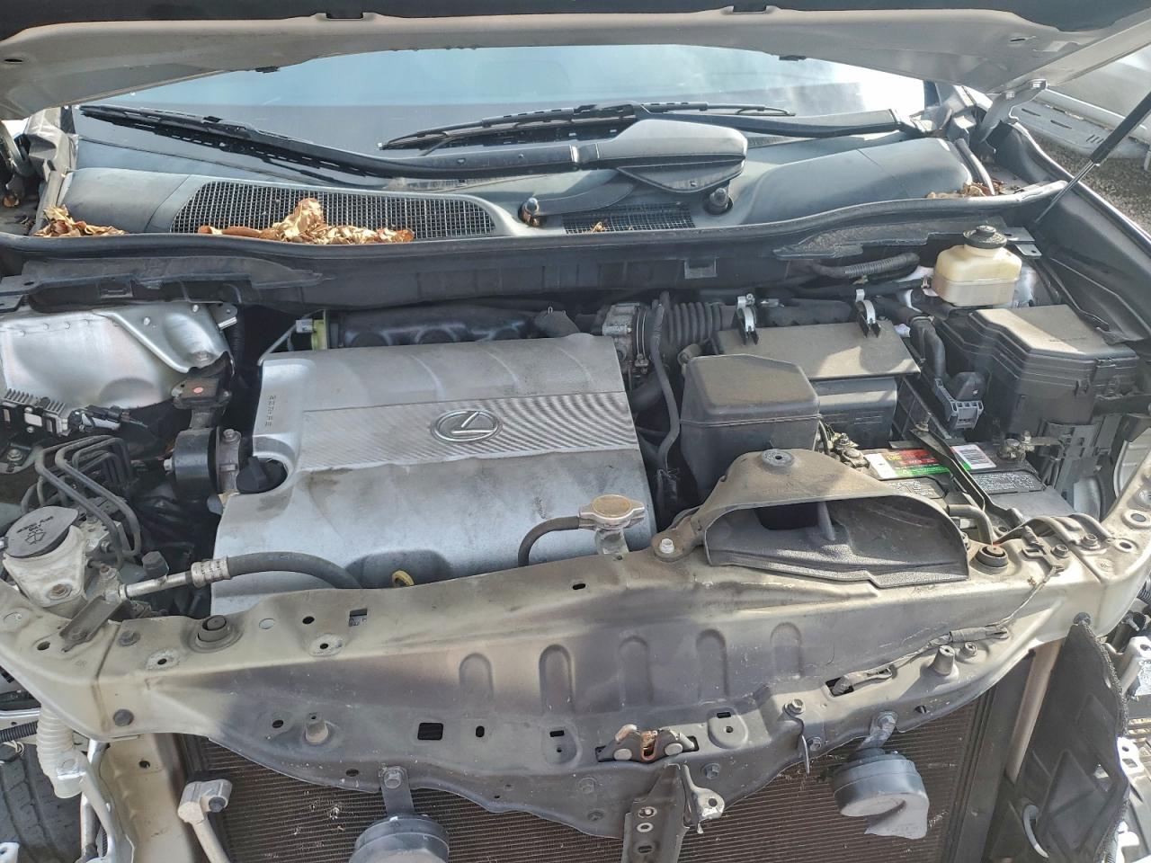 Lexus RX 350 Image 3