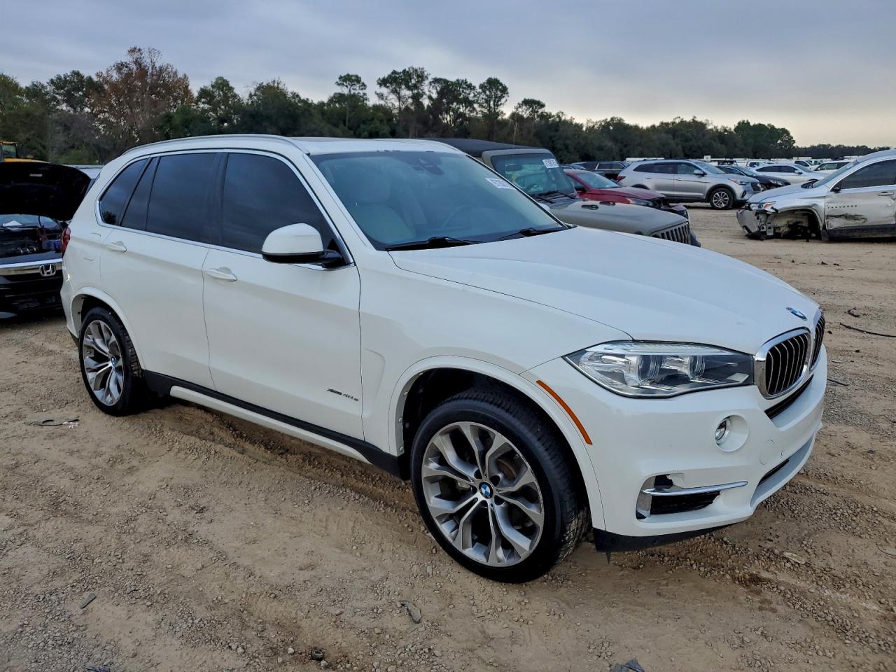 BMW X Series Xdr40e Image 2