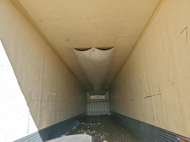 Great Dane Other Image 2