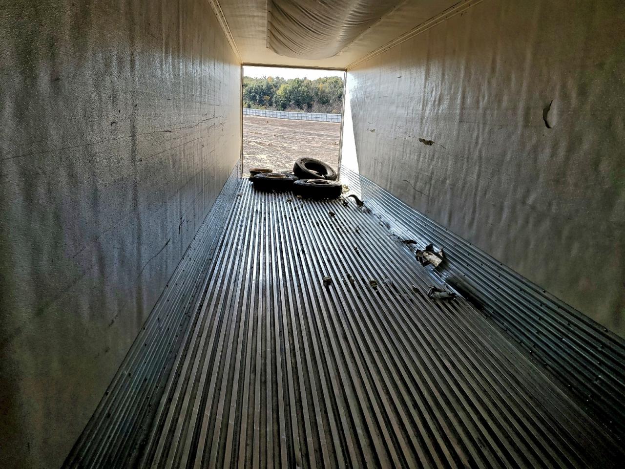 Great Dane Other Image 5