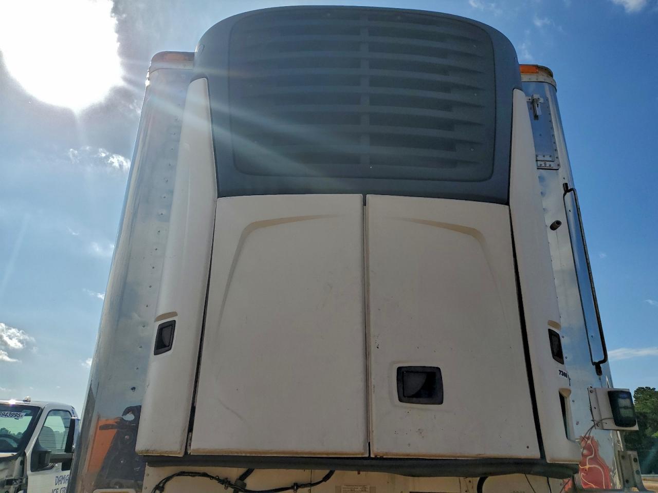 Great Dane Other Image 7