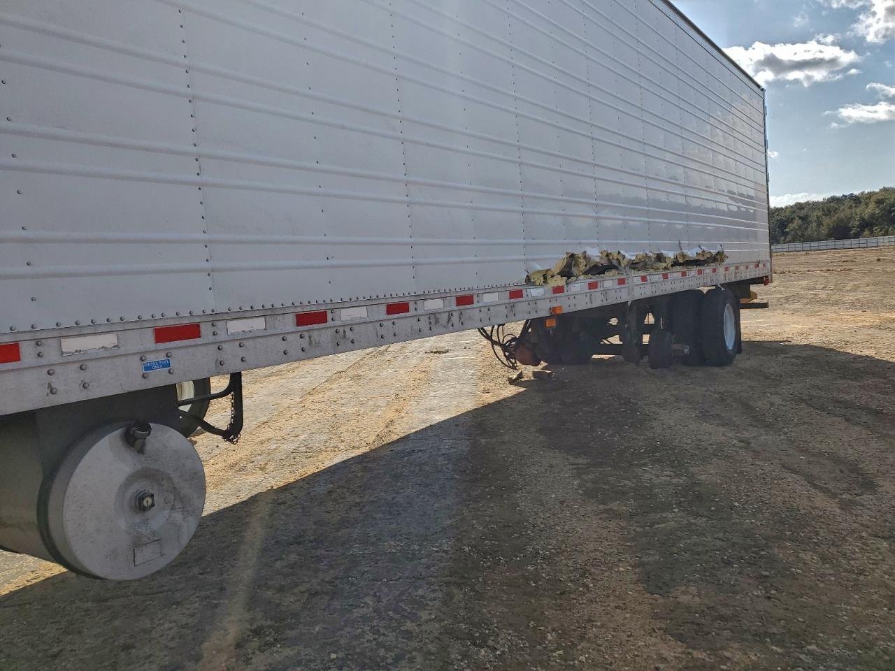 Great Dane Other Image 6