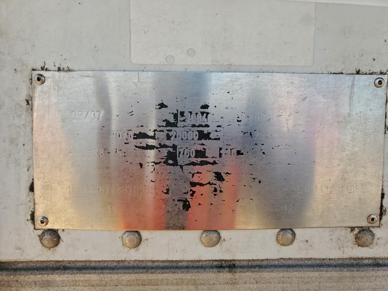 Great Dane Other Image 10