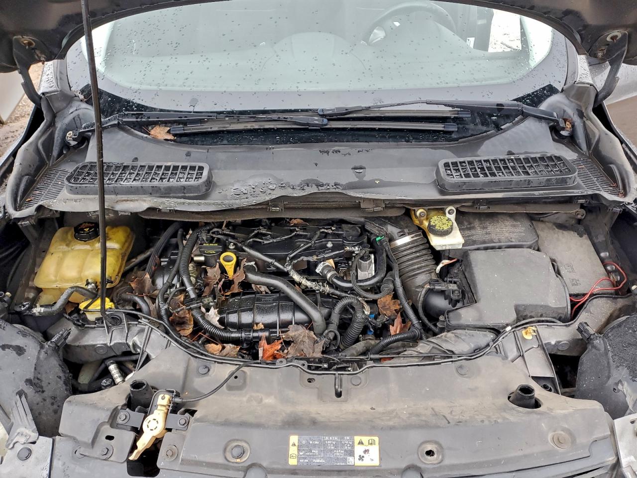 Ford Escape Se Image 10