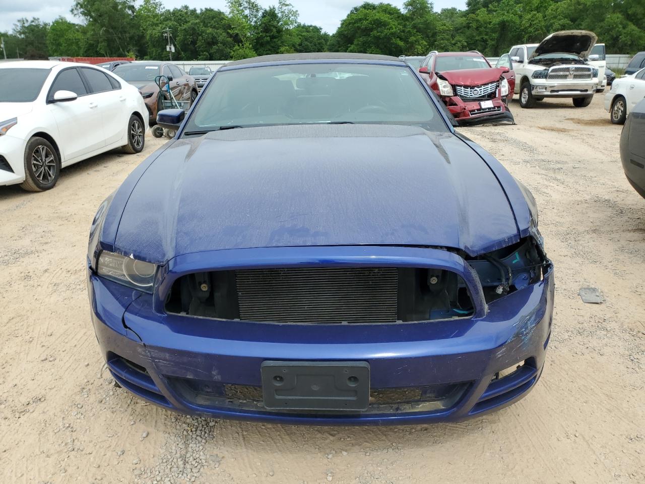 Ford Mustang Image 6