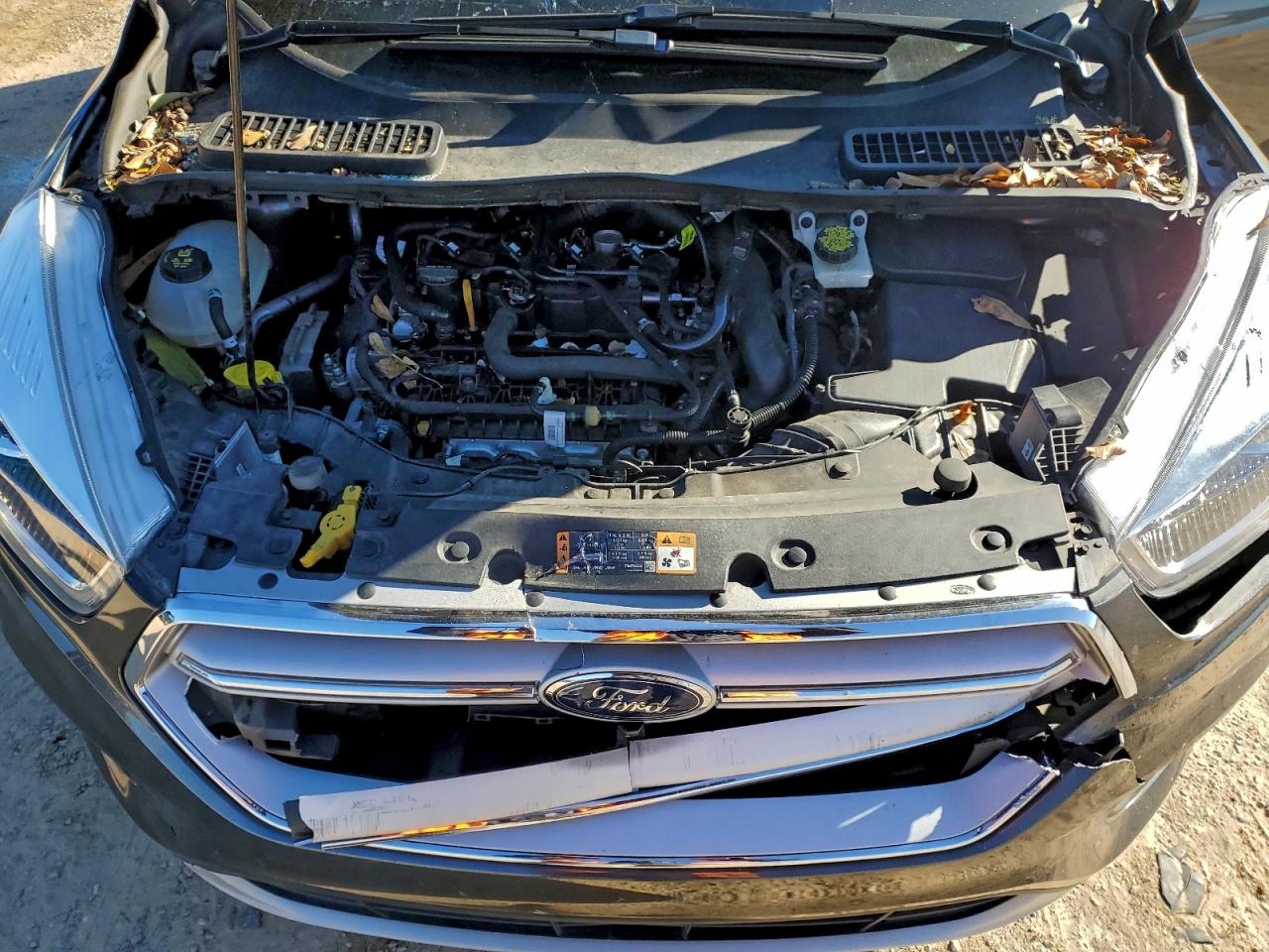 Ford Escape Sel Image 11