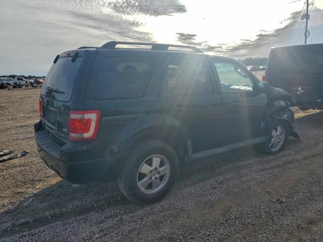 Ford Escape Xlt Image 2