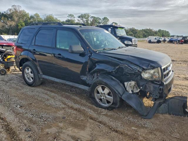 Ford Escape Xlt Image 3