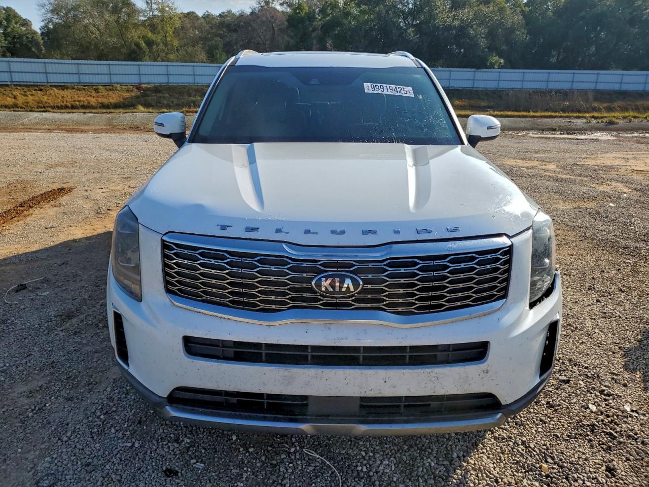 Kia Telluride Ex Image 4