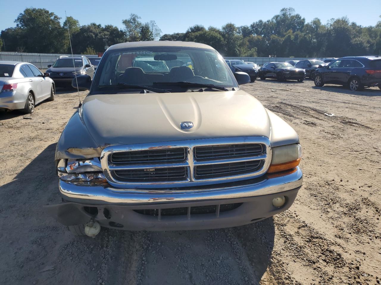 Dodge Dakota Quad Slt Image 3
