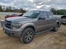 Ford F-150 Supercrew Image 1