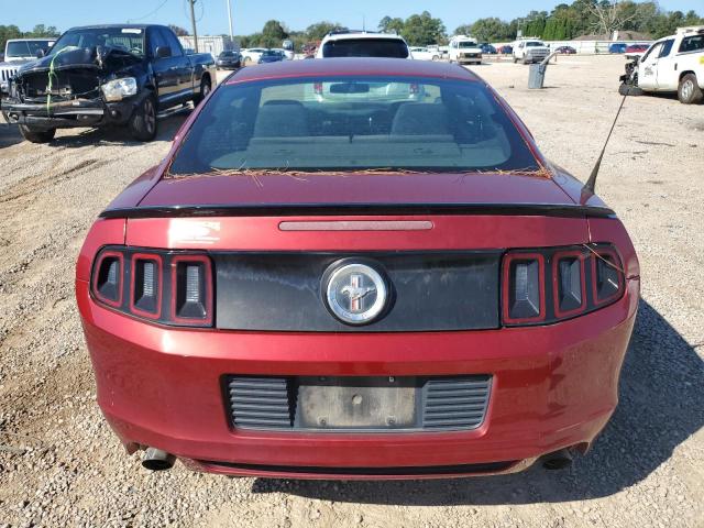 Ford Mustang Image 9